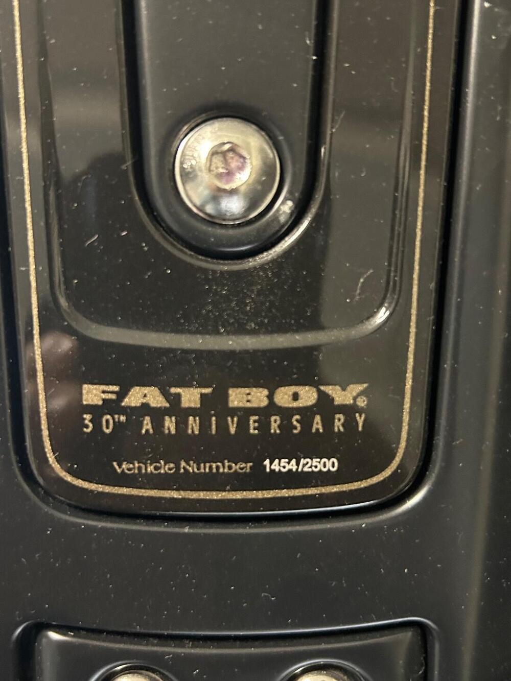 Harley-Davidson 114 Fat Boy (2018 - 20) - FLFBS (2)