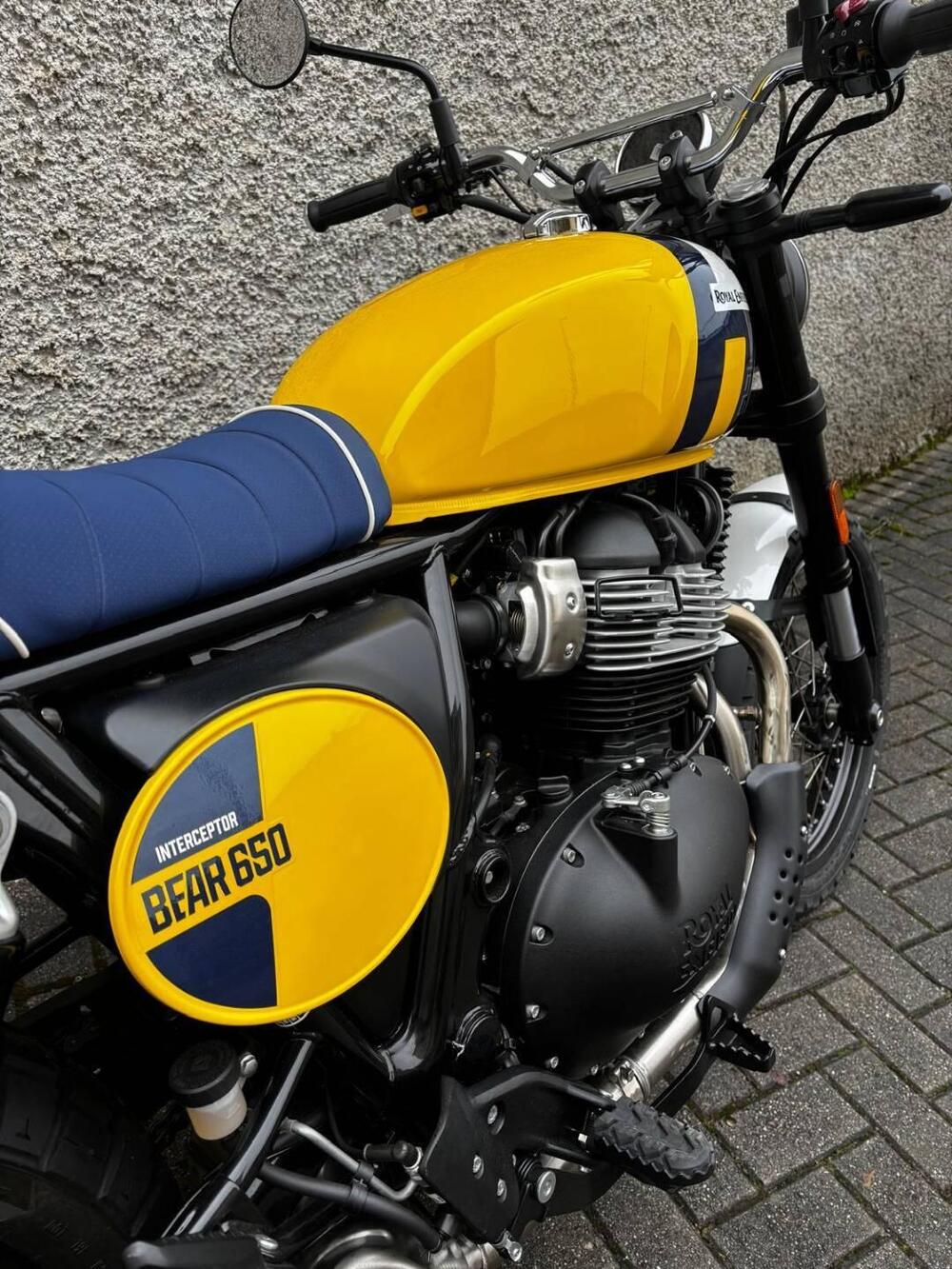 Royal Enfield Bear 650 (2025 - 26) (5)