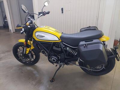 Ducati Scrambler 800 Icon (2017 - 20) usata