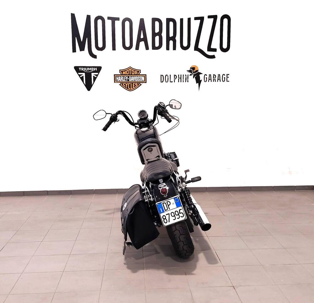 Harley-Davidson 883 R (2008 - 16) - XL 883R (11)