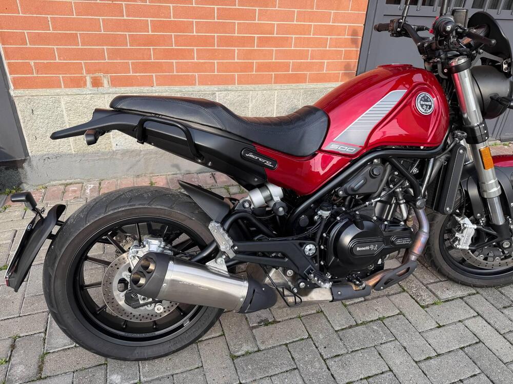 Benelli Leoncino 500 (2021 - 25) (4)