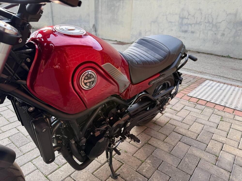 Benelli Leoncino 500 (2021 - 25) (9)