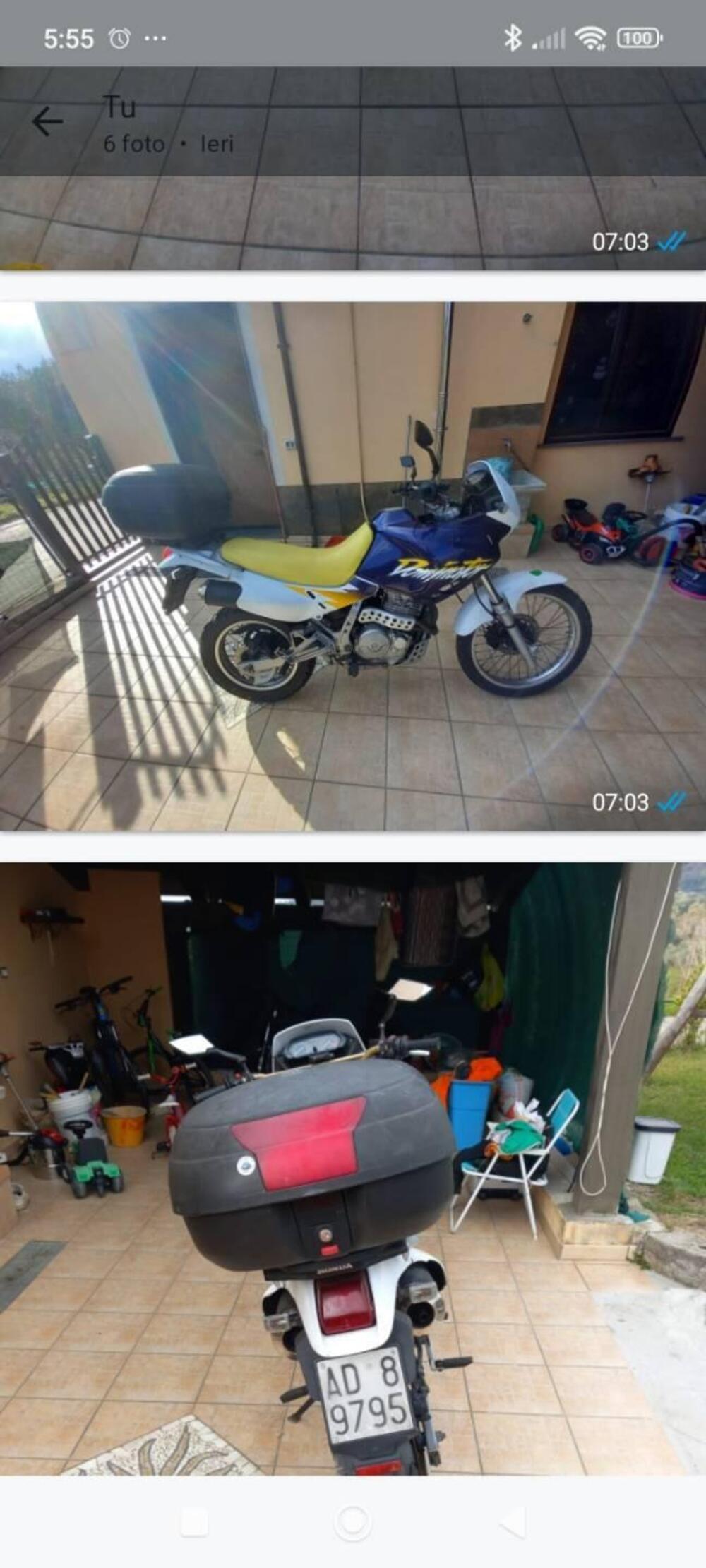 Honda Dominator 650 (3)