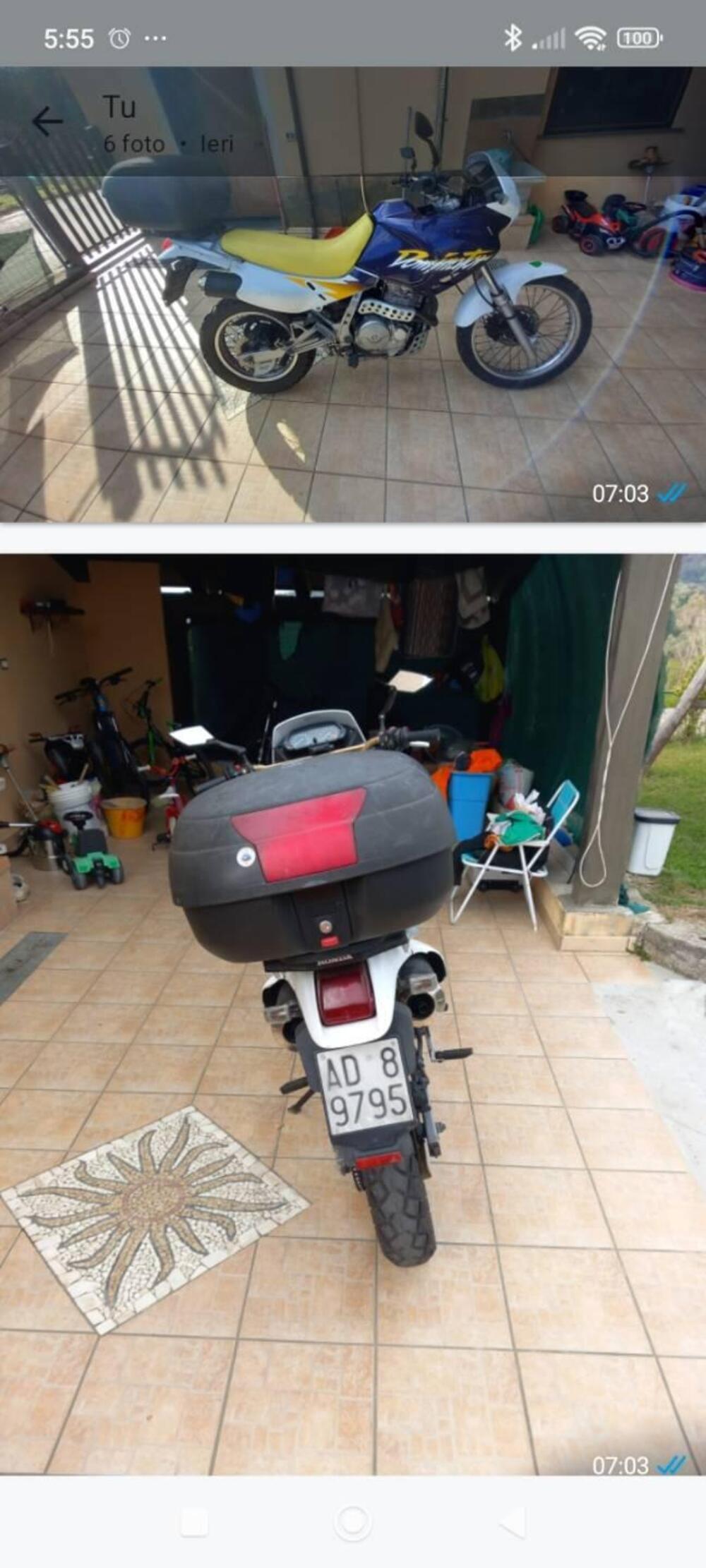 Honda Dominator 650 (4)