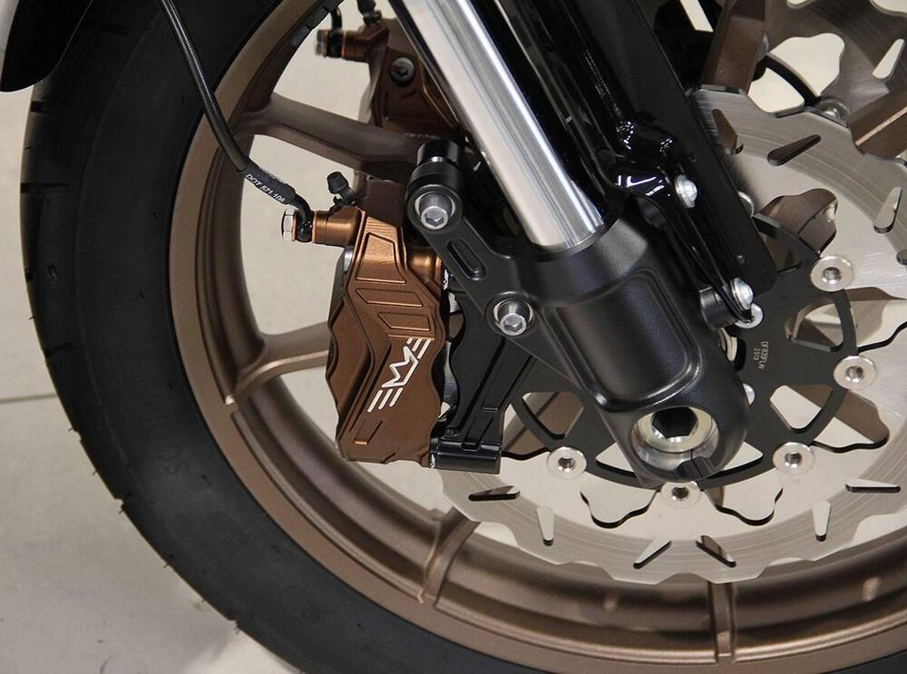 Harley-Davidson Low Rider ST (2022 - 24) (3)