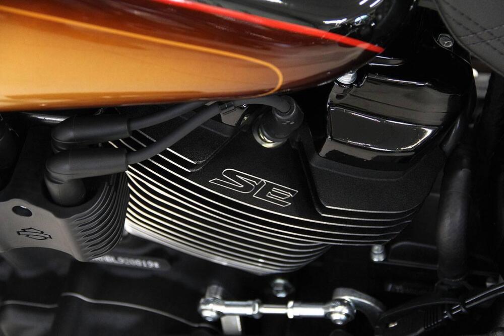 Harley-Davidson Low Rider ST (2022 - 24) (17)