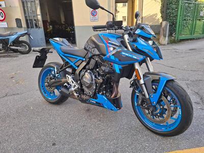 Suzuki GSX-8S Team Suzuki Edition (2024) usata