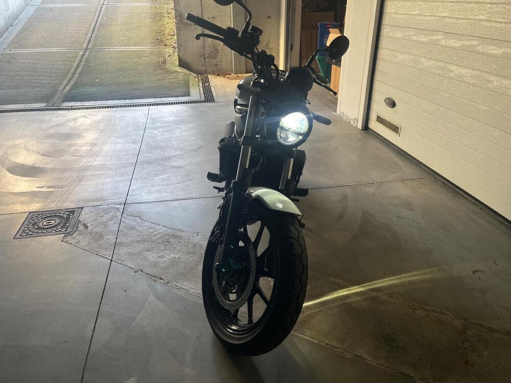 Kawasaki Eliminator 500 (2024 - 26) (3)