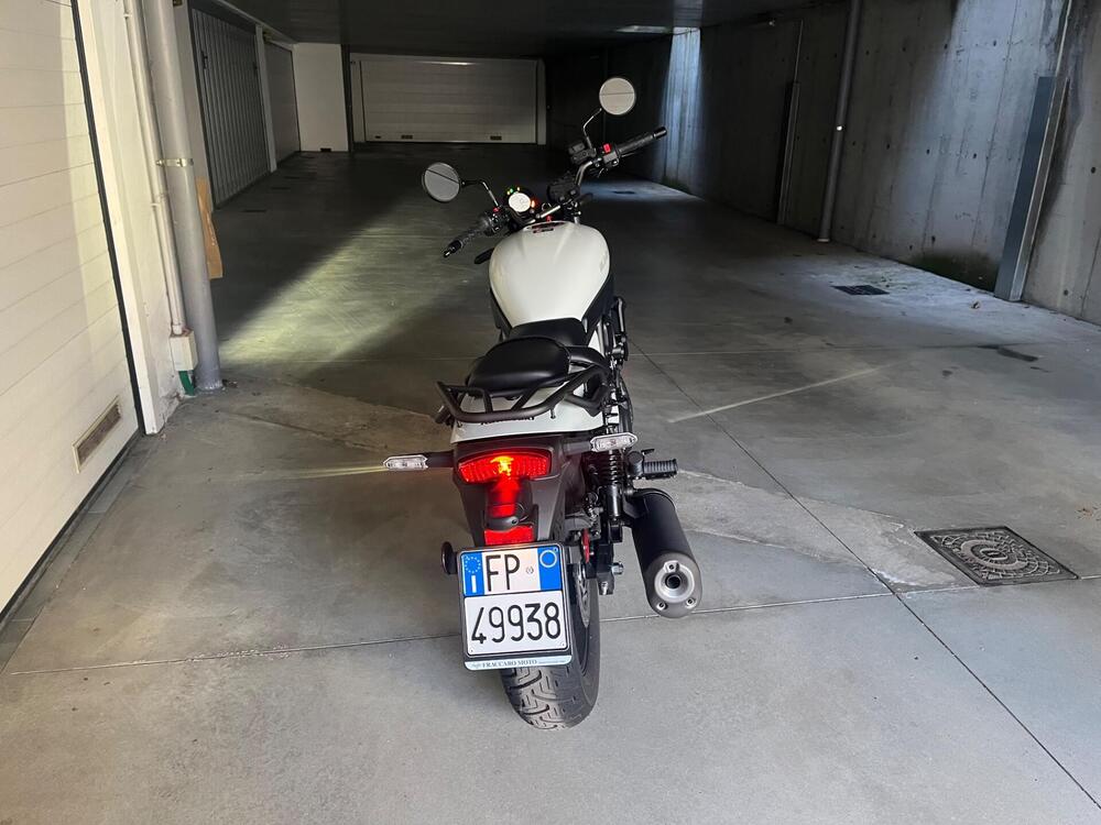 Kawasaki Eliminator 500 (2024 - 26) (4)