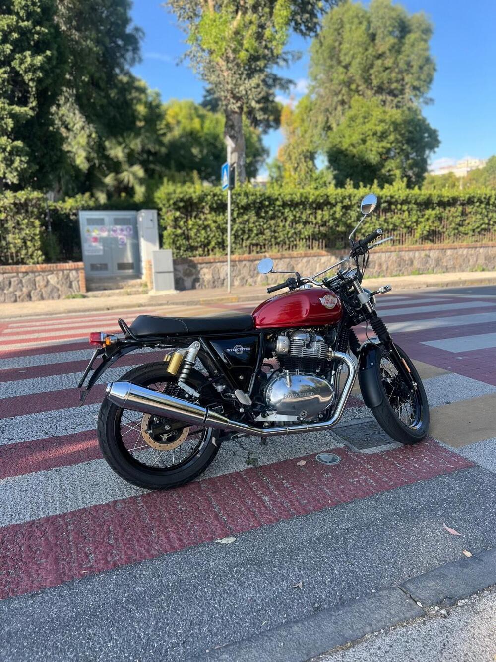 Royal Enfield Interceptor 650 (2021 - 26) (6)