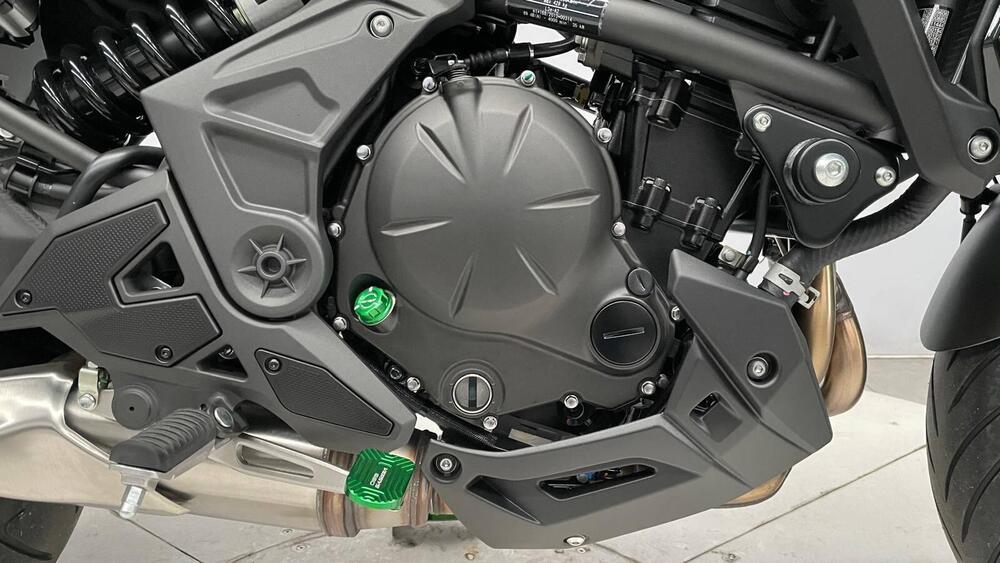 Kawasaki Versys 650 Grand Tourer (2025 - 26) (4)