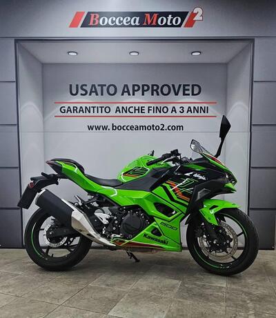 Kawasaki Ninja 500 (2024 - 26) usata