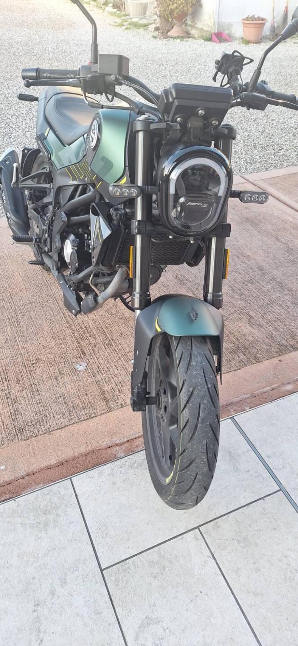 Benelli Leoncino 125 (2022 - 25) (5)