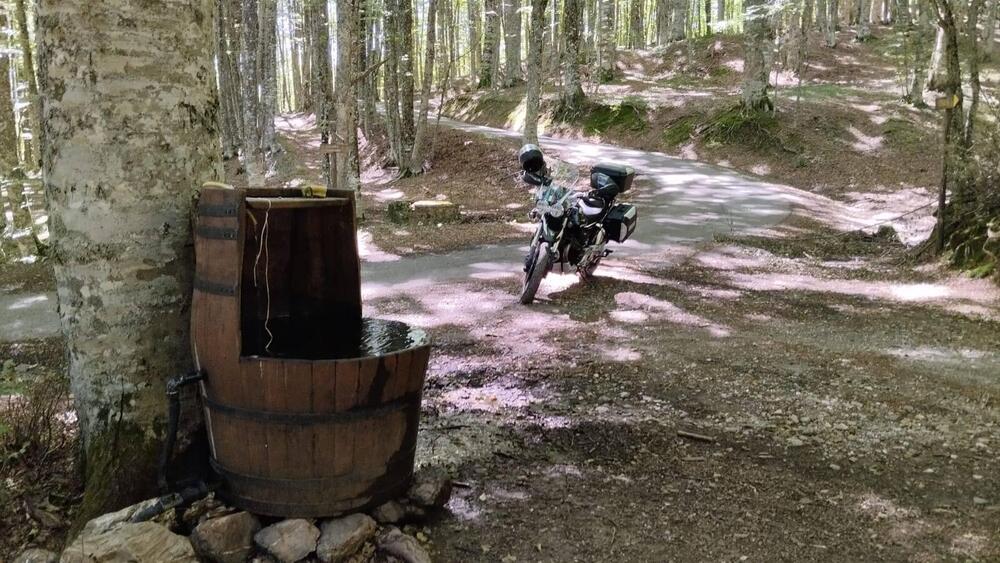 Moto Guzzi V85 TT Guardia d'Onore (2022 - 23) (5)