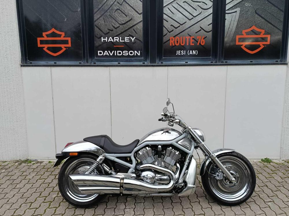 Harley-Davidson 1130 V-Rod (2002 - 05) - VRSCA