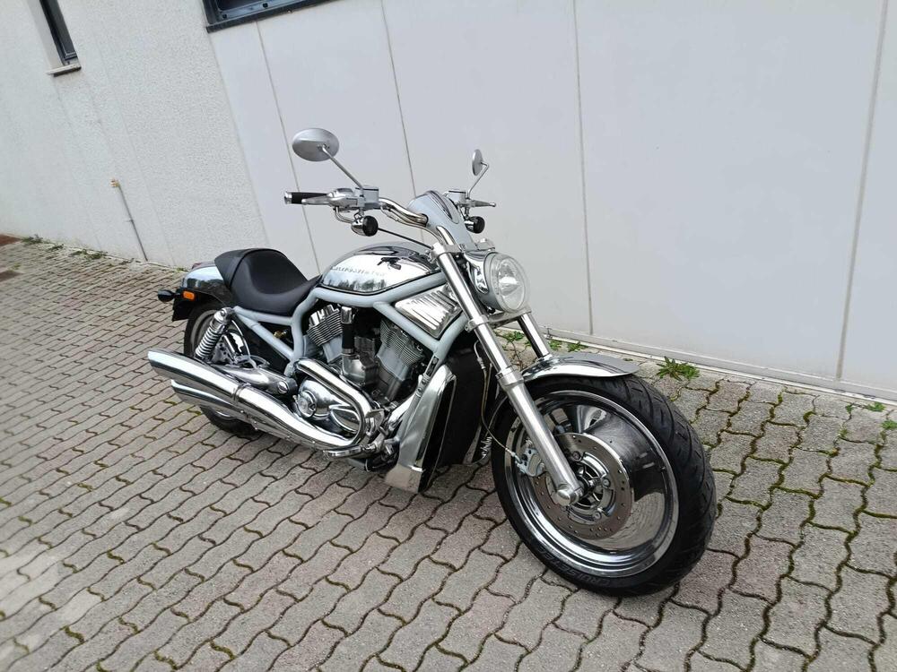 Harley-Davidson 1130 V-Rod (2002 - 05) - VRSCA (4)