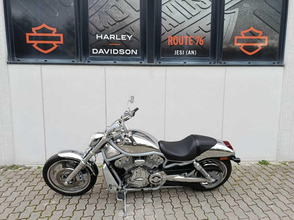 Harley-Davidson 1130 V-Rod (2002 - 05) - VRSCA (6)