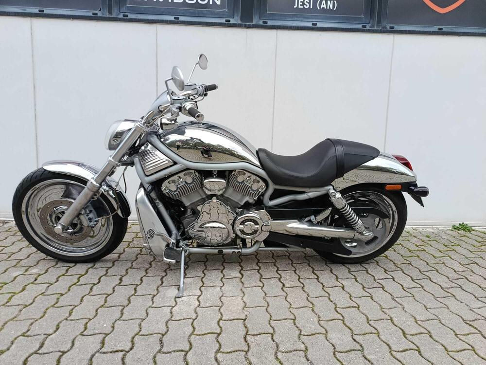 Harley-Davidson 1130 V-Rod (2002 - 05) - VRSCA (7)