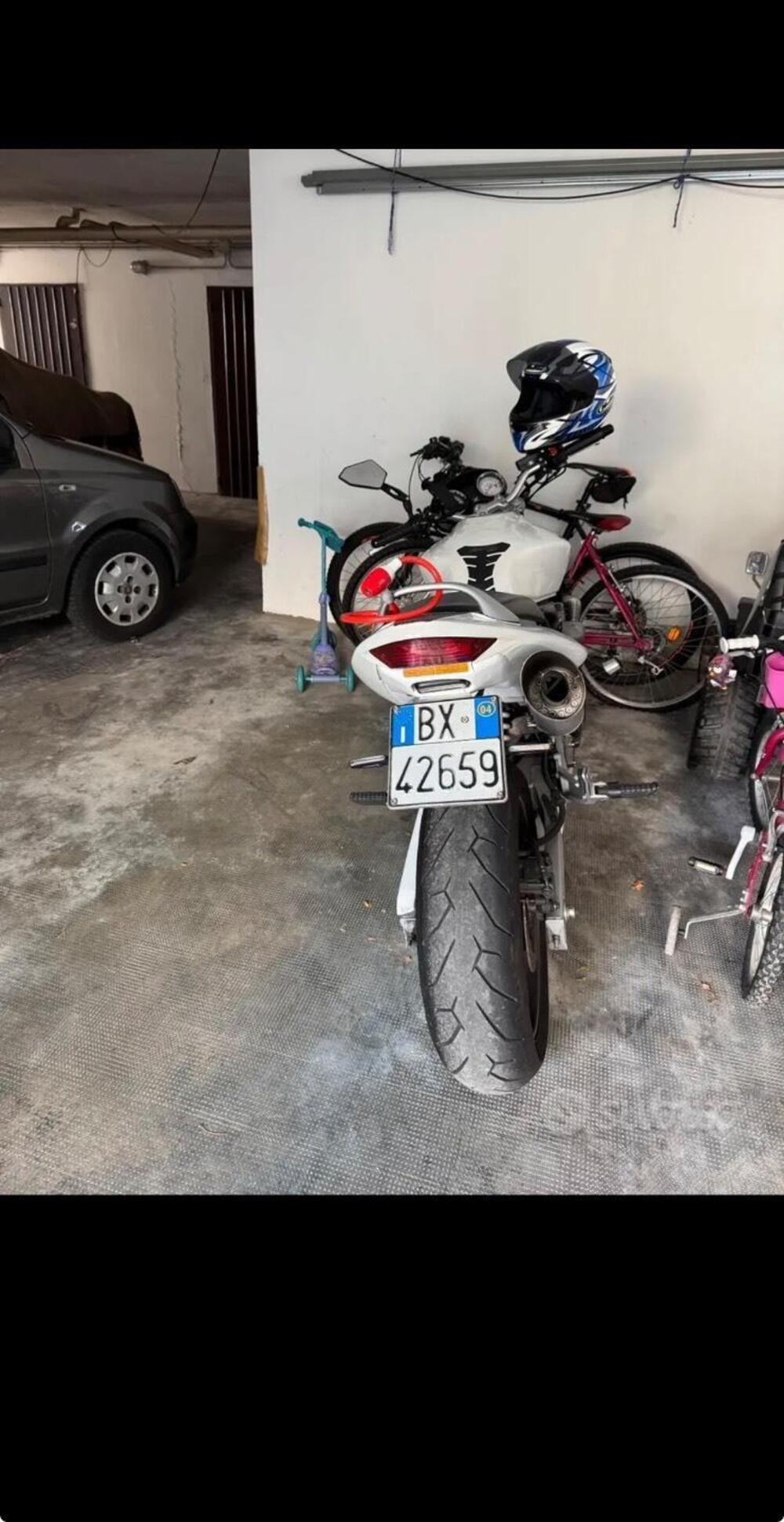 Honda Hornet 600 (2003 - 04) (2)