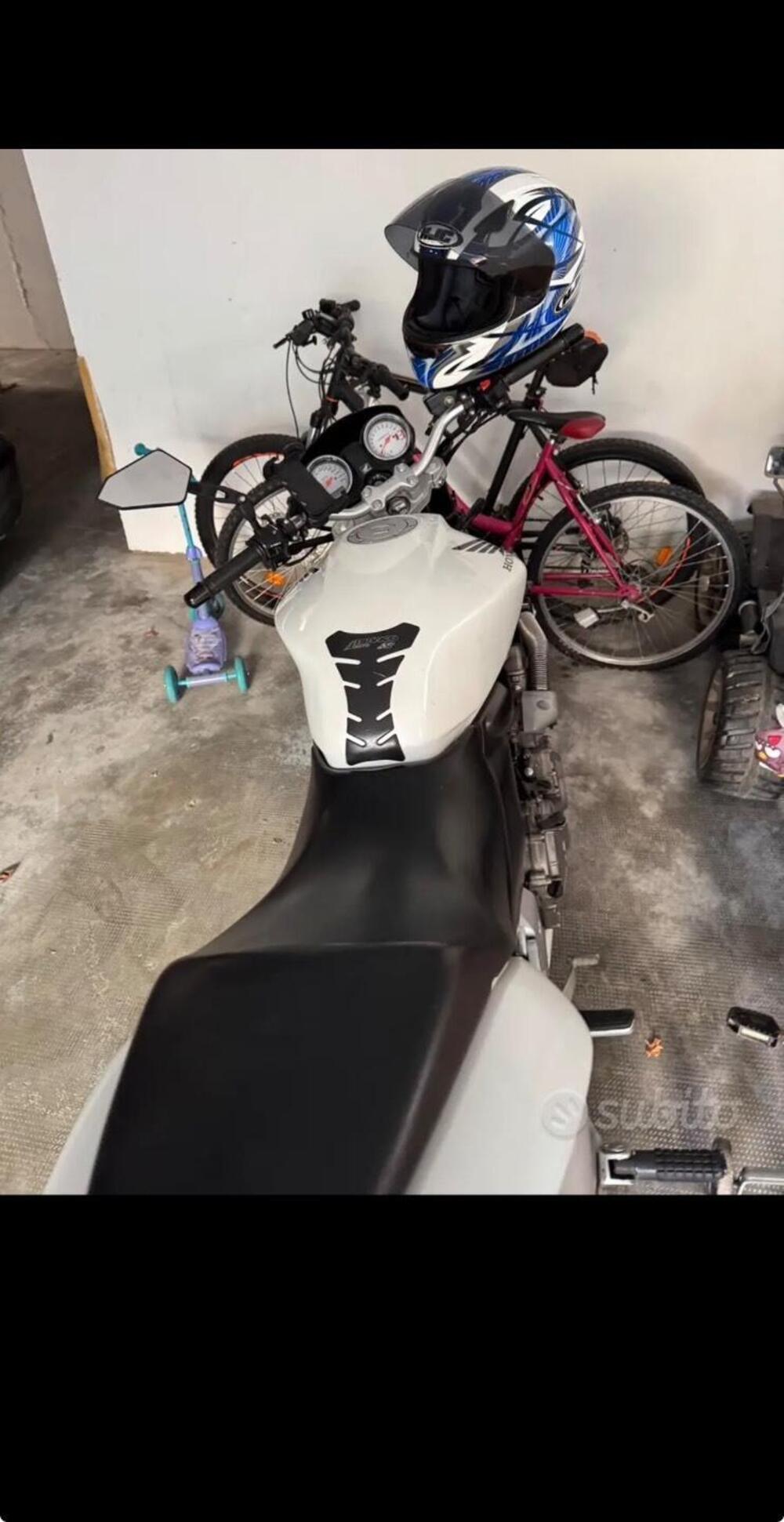 Honda Hornet 600 (2003 - 04) (4)