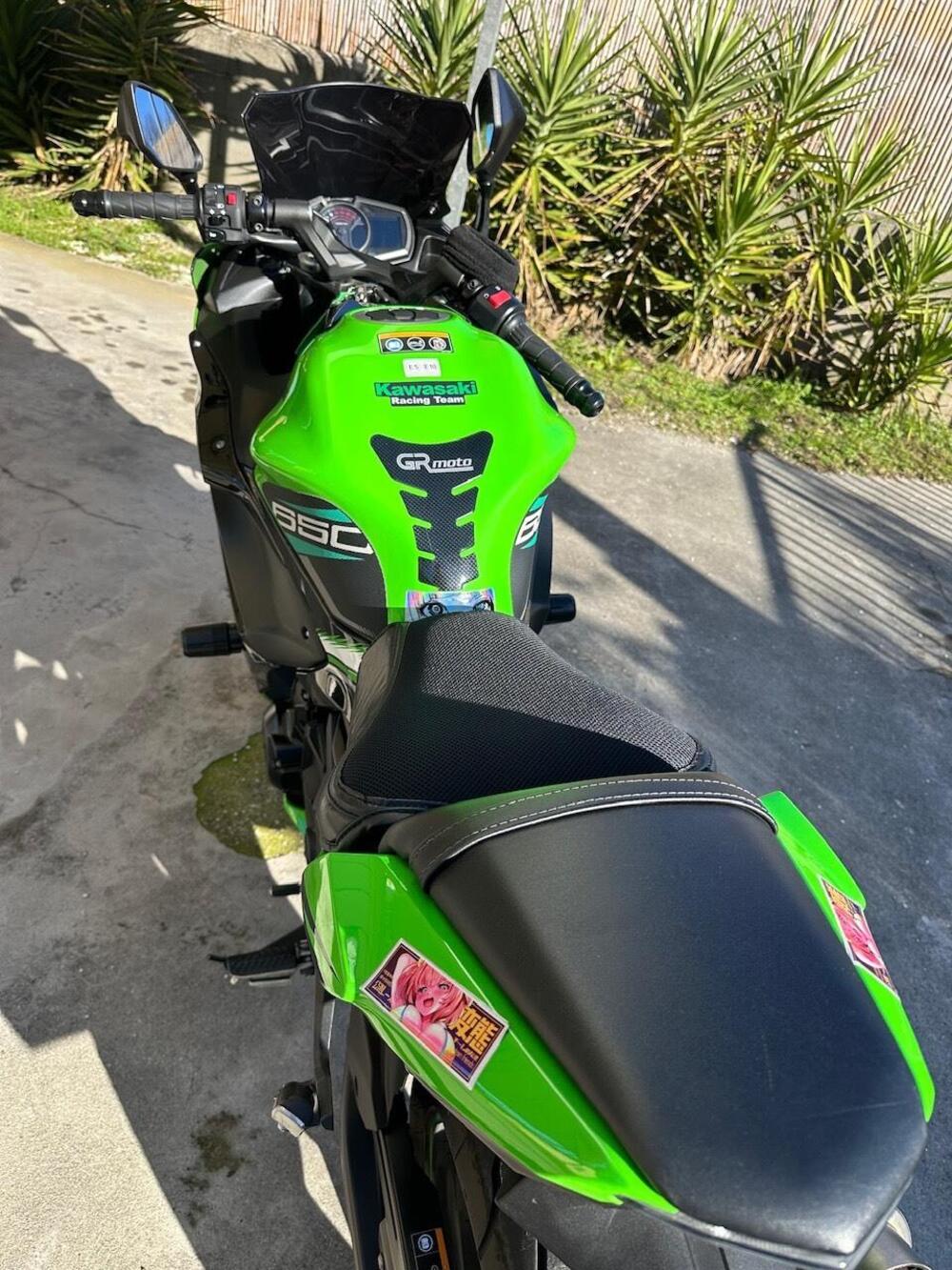Kawasaki Ninja 650 KRT Edition (2017 - 19) (4)