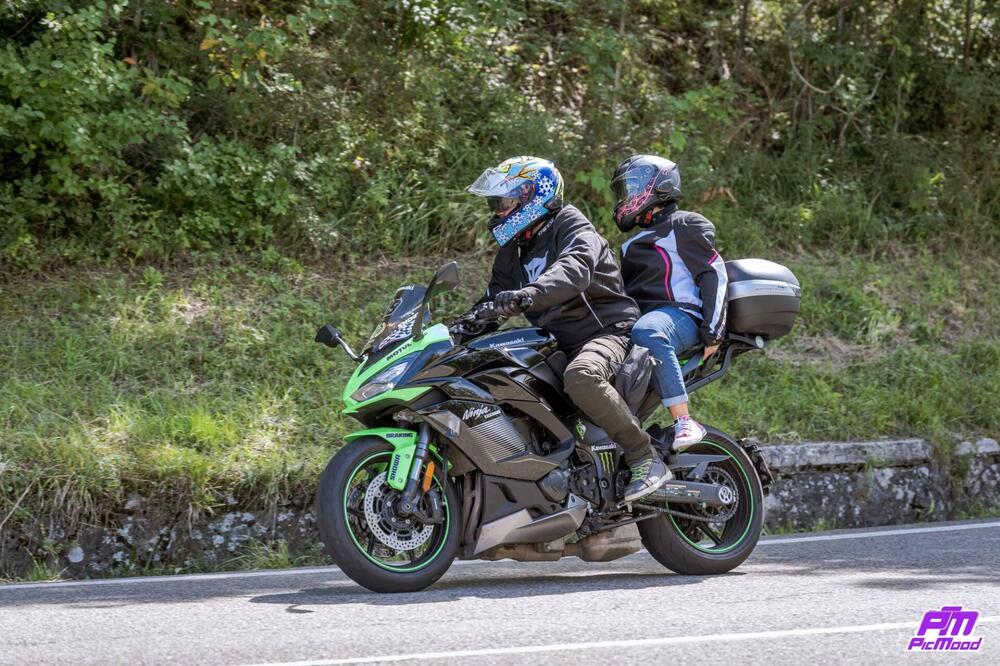 Kawasaki Ninja 1000 SX (2021 - 24) (3)