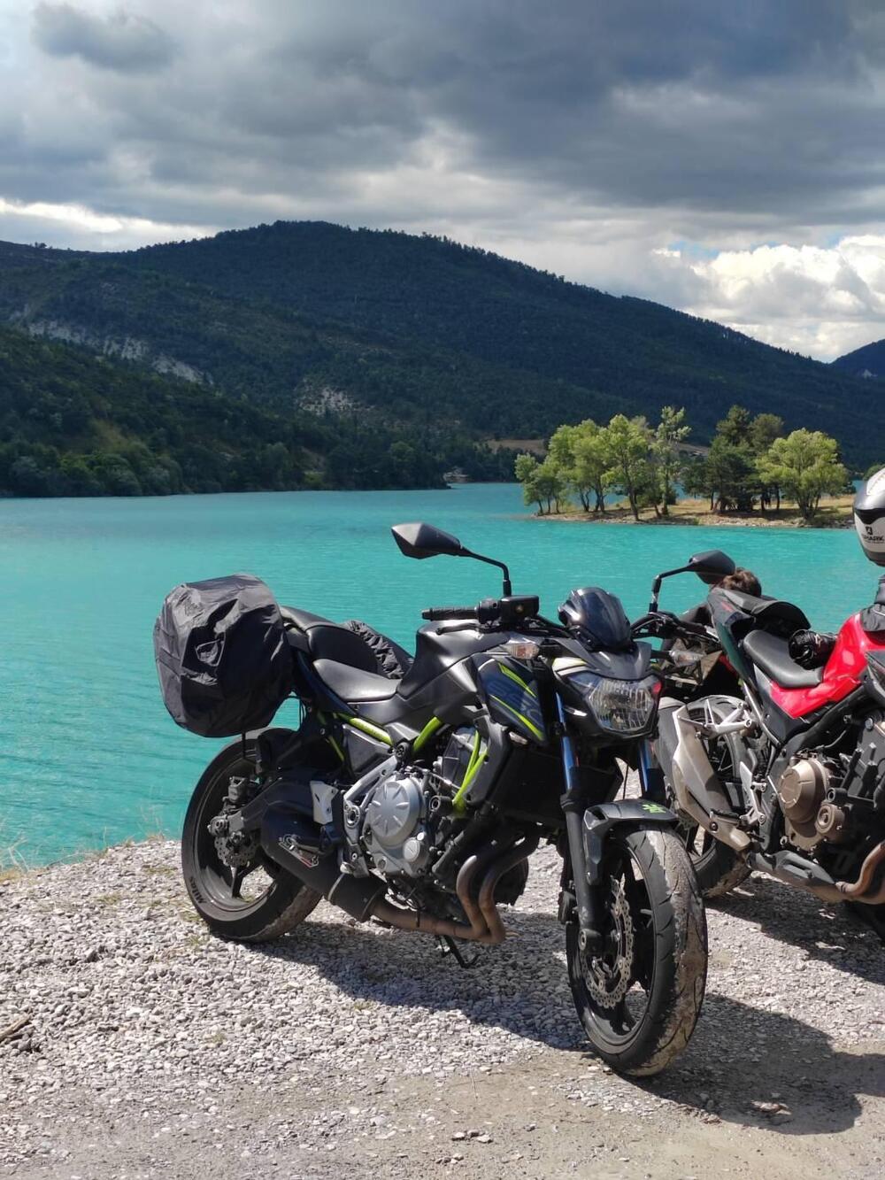 Kawasaki Z 650 (2017 - 19)