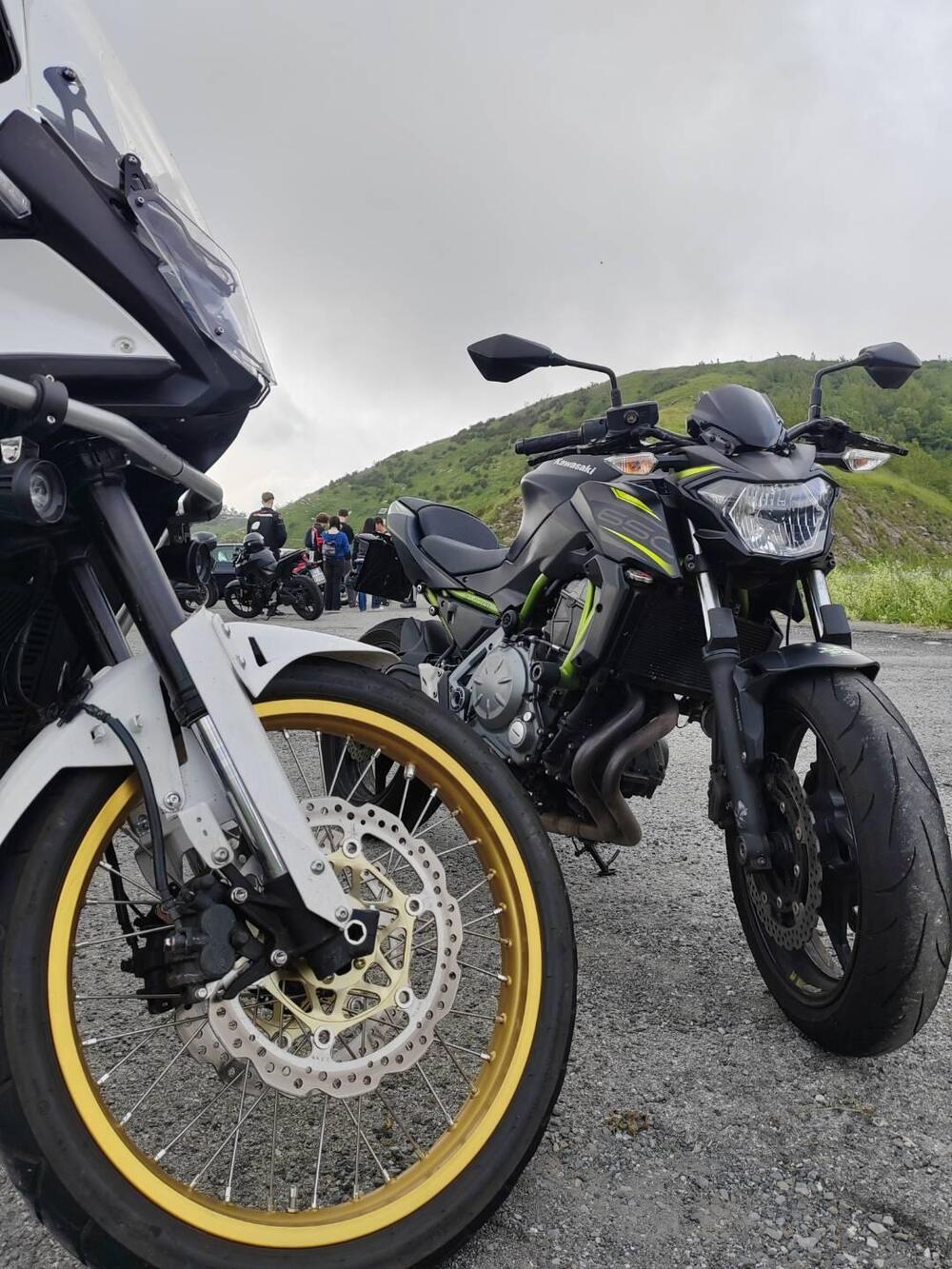 Kawasaki Z 650 (2017 - 19) (7)