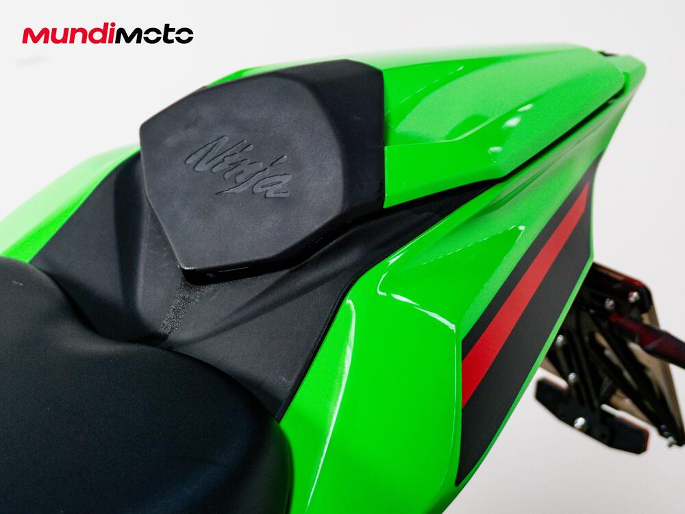 Kawasaki Ninja ZX-4RR (2024 - 26) (16)