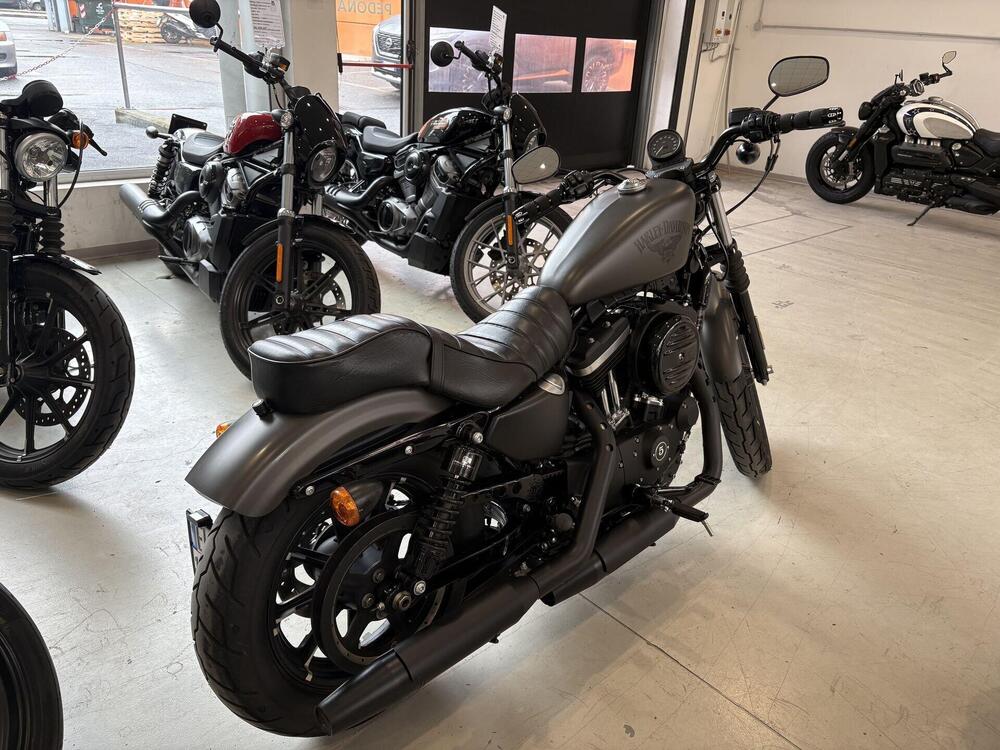 Harley-Davidson 883 Iron (2017 - 20) - XL 883N (3)