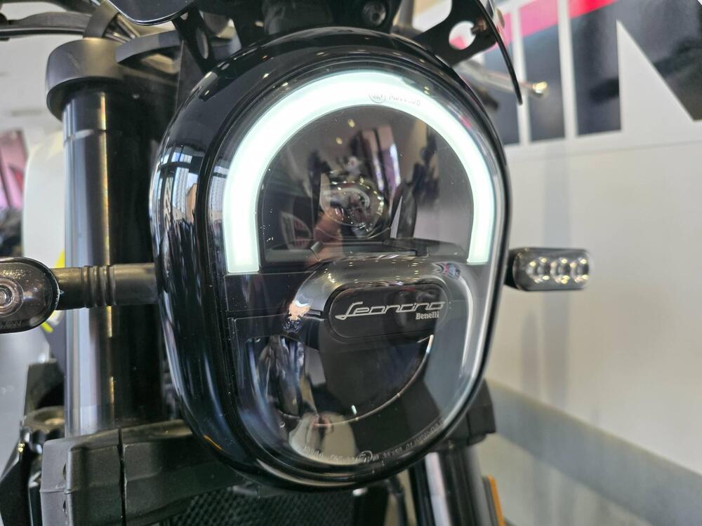 Benelli Leoncino 250 (2021 - 25) (9)