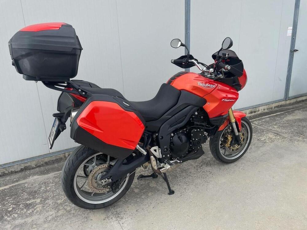 Triumph Tiger 1050 (2006 - 12) (4)