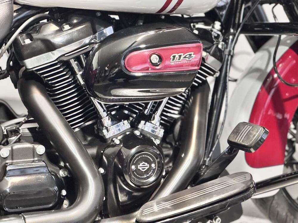 Harley-Davidson 114 Road Glide Special (2019 - 20) - FLTRXS (9)