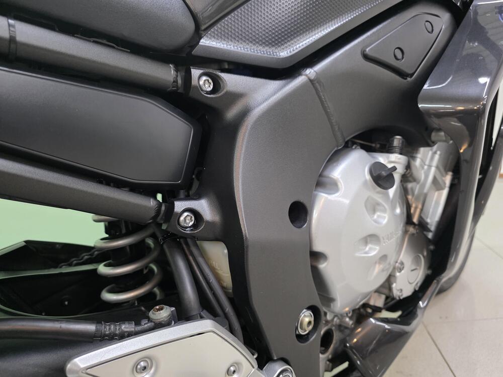 Yamaha FZ1 Fazer (2006 - 16) (8)