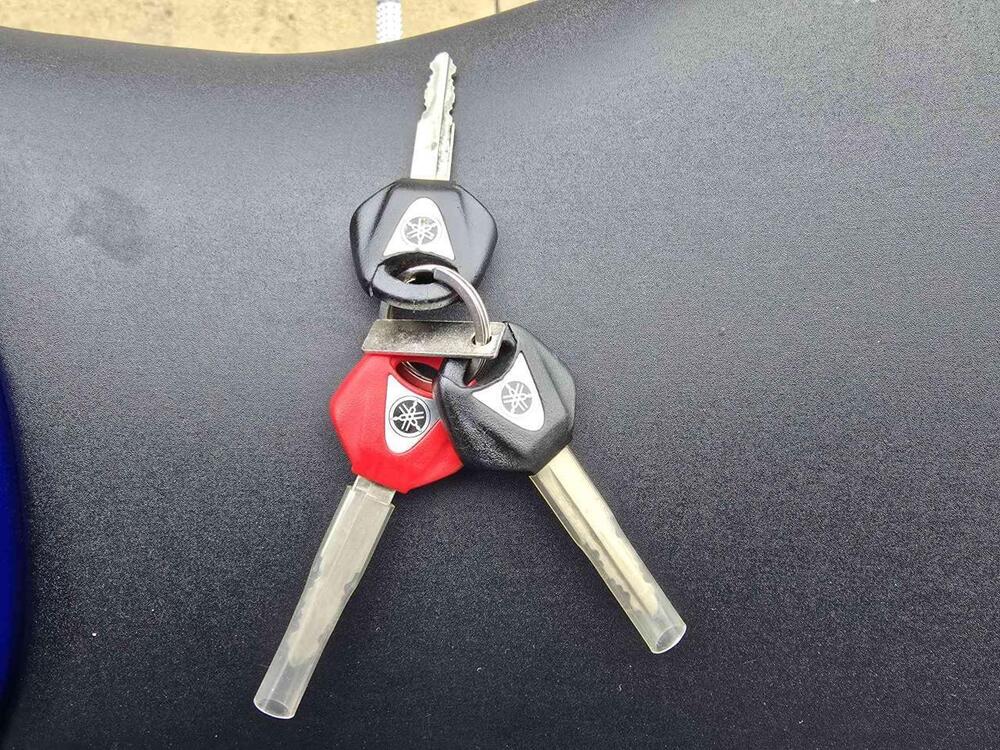 Yamaha YZF R6 (2008 - 09) (26)