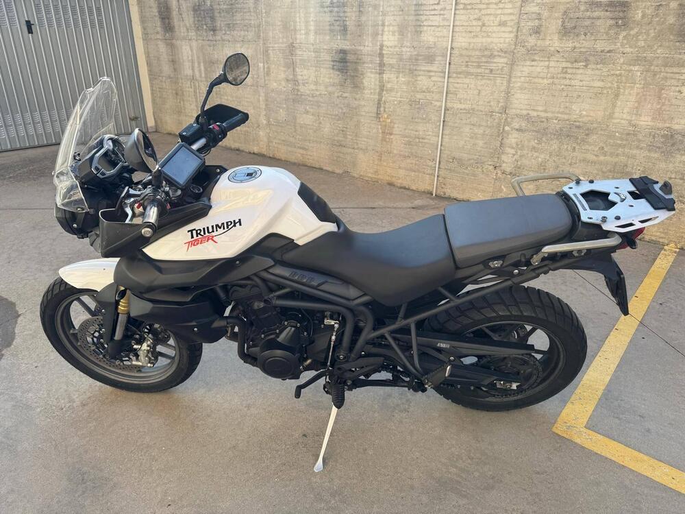 Triumph Tiger 800 ABS (2010 - 14) (2)