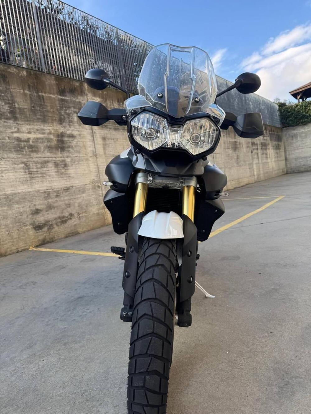 Triumph Tiger 800 ABS (2010 - 14) (5)