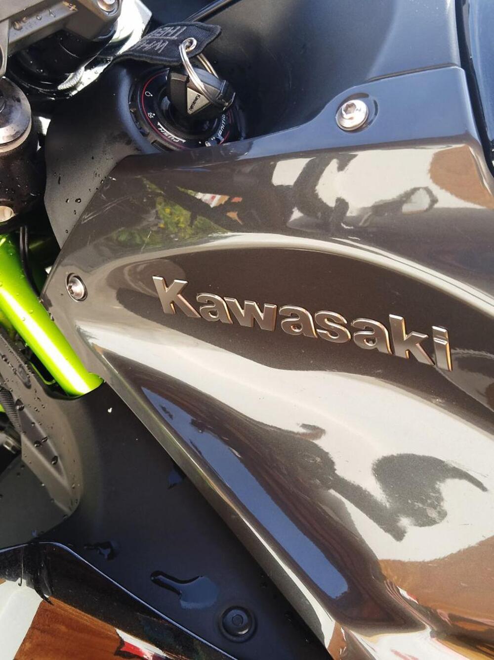 Kawasaki Z 900 (2017 - 18) (16)