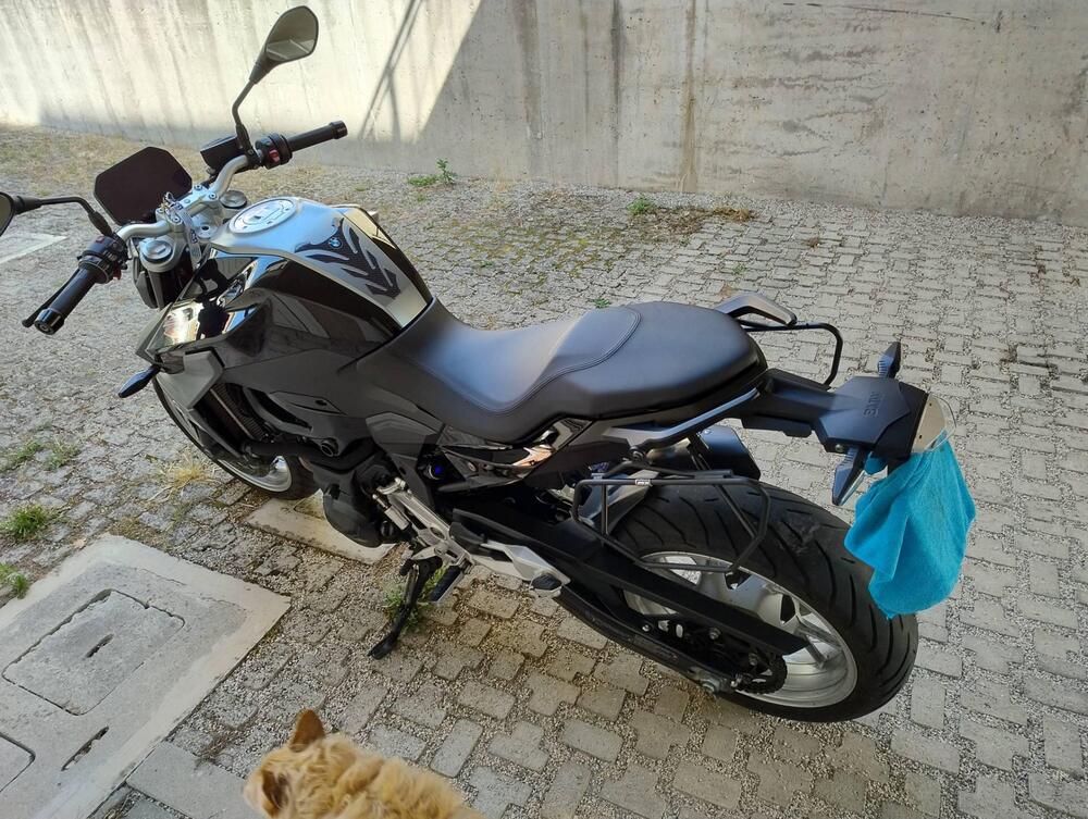 Bmw F 900 R (2017 - 20) (9)