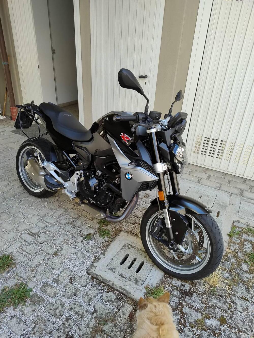 Bmw F 900 R (2017 - 20) (13)