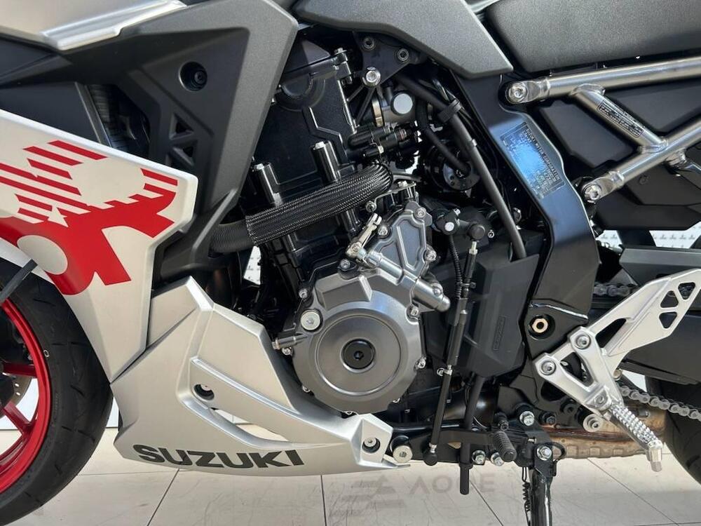 Suzuki GSX-8R (2024 - 26) (12)