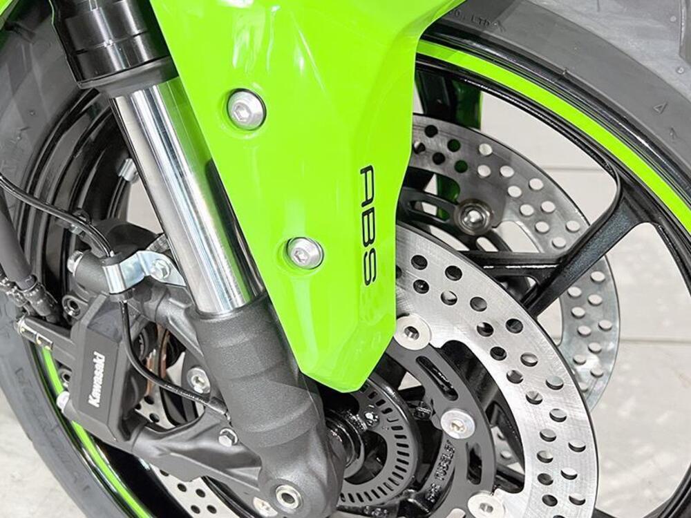 Kawasaki Ninja ZX-4RR (2024 - 26) (4)