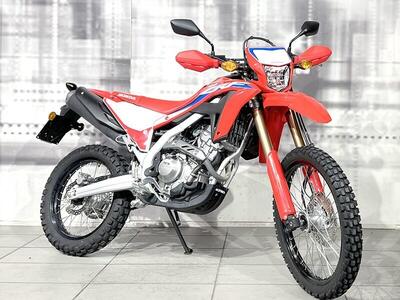 Honda CRF 300 L (2021 - 24) usata