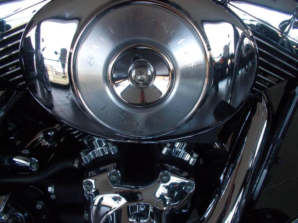 Harley-Davidson 1450 Road King (1999 - 03) - FLHR (11)