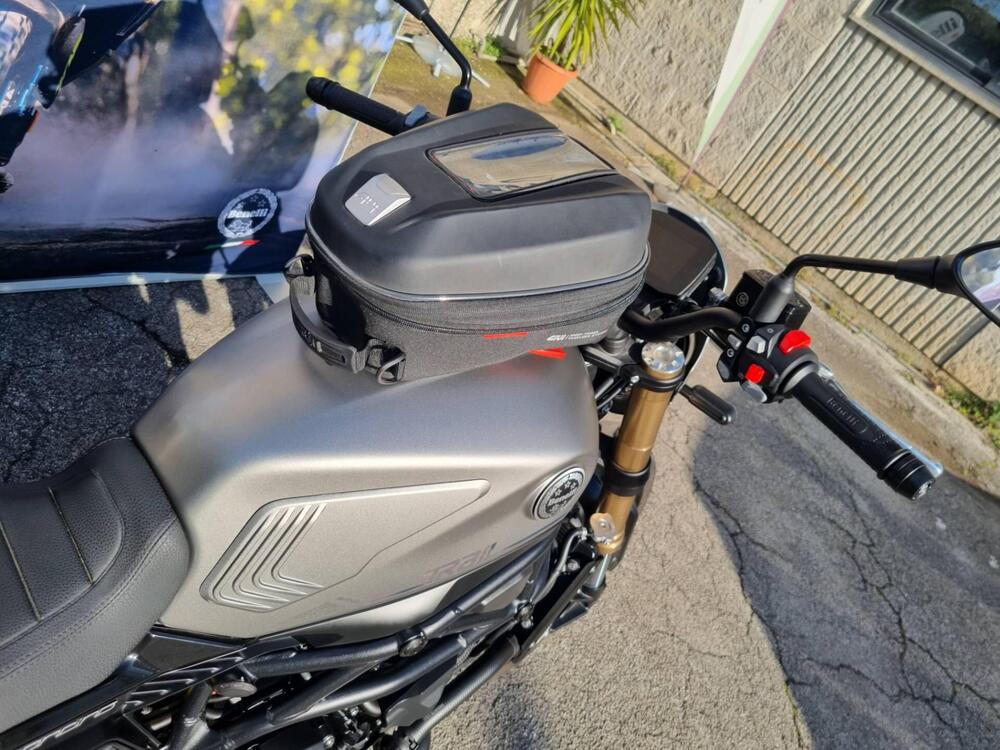 Benelli Leoncino 800 Trail (2022 - 26) (4)