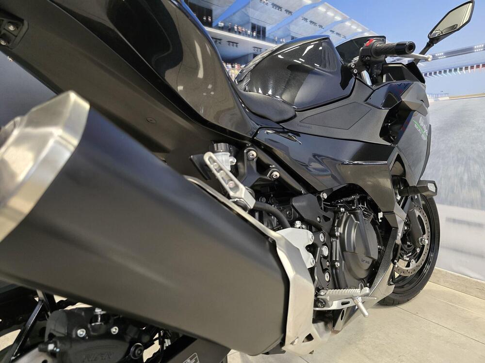 Kawasaki Ninja 500 (2024 - 26) (16)