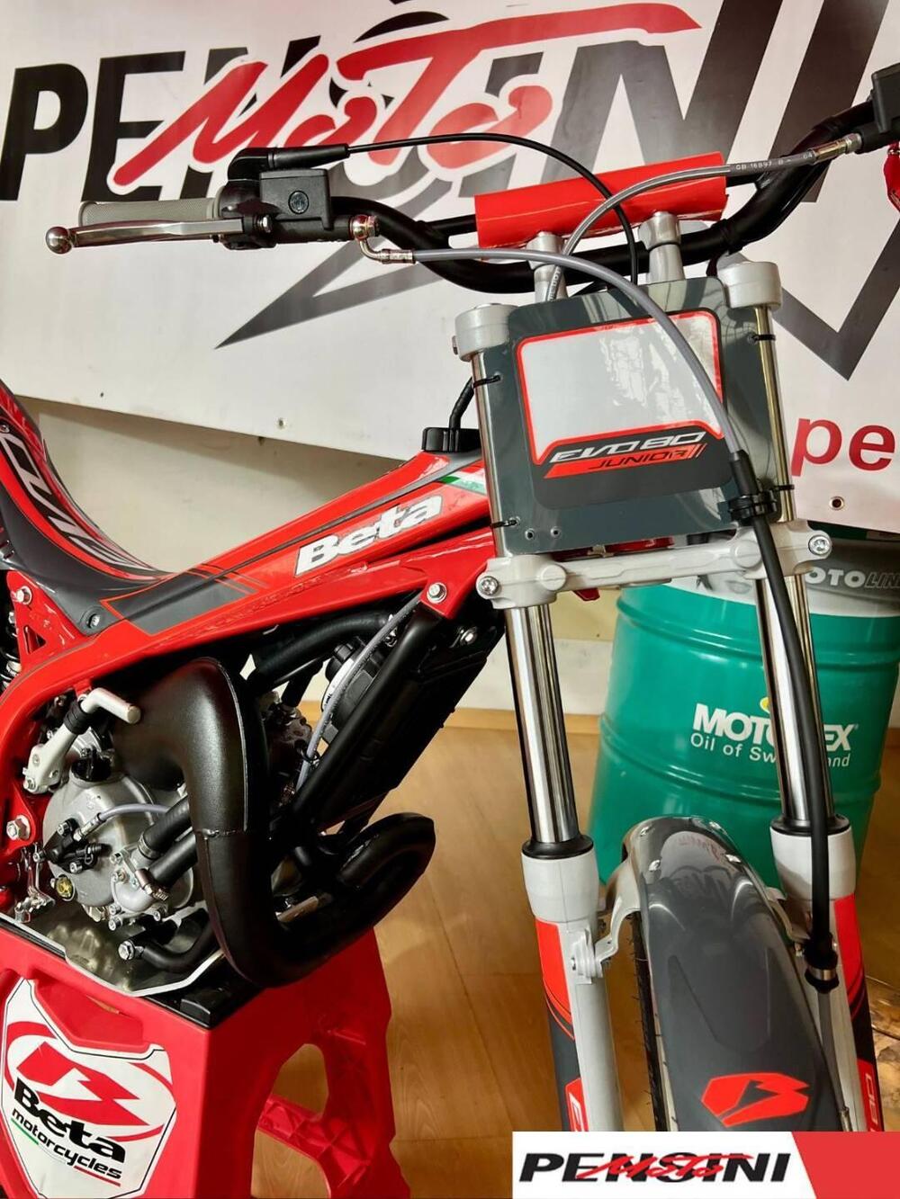 Betamotor Evo 80 Junior (2025 - 26) (5)