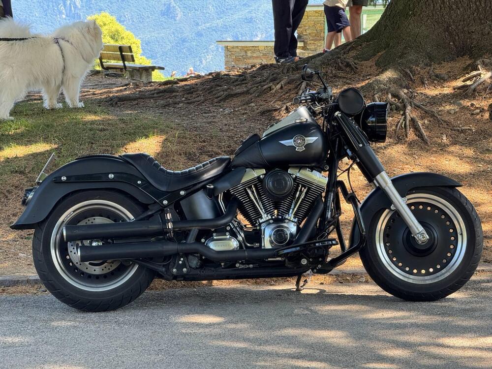 Harley-Davidson 1584 Fat Boy (2008 - 10) - FLSTF (11)