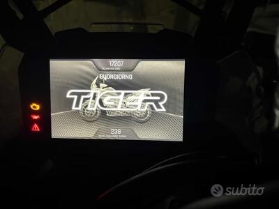 Triumph Tiger 900 Rally Pro (2020 - 23) usata