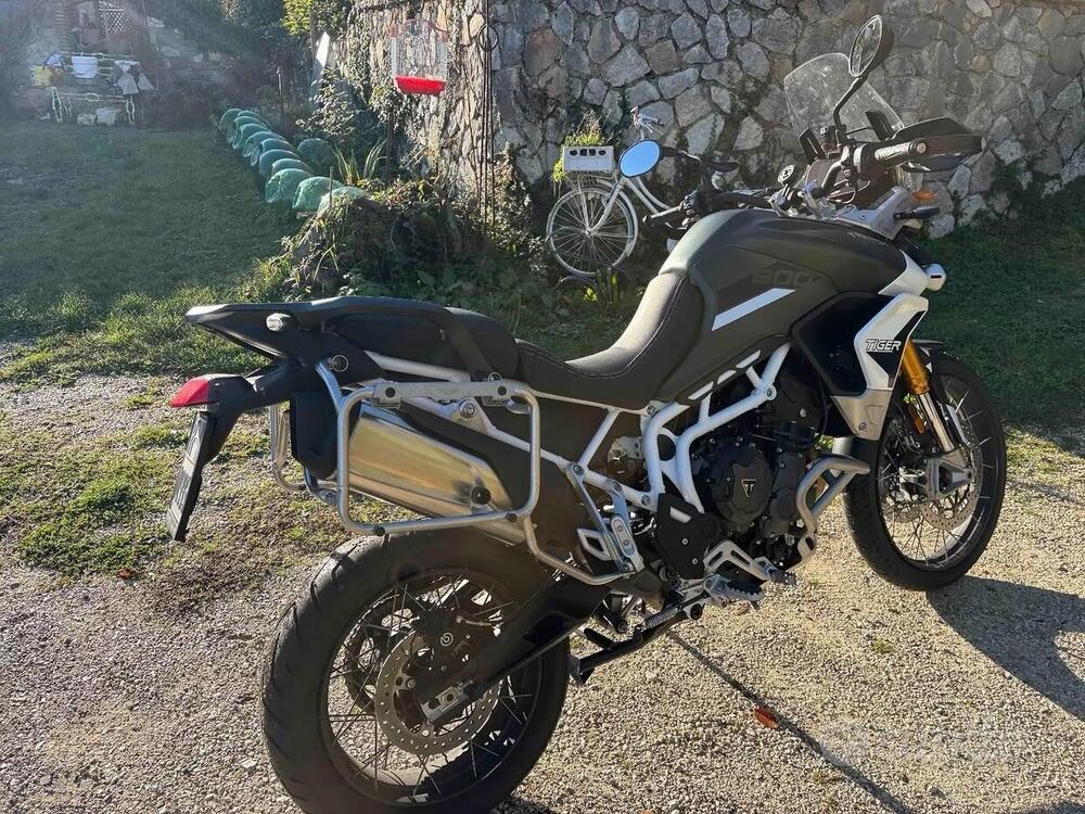 Triumph Tiger 900 Rally Pro (2020 - 23) (3)